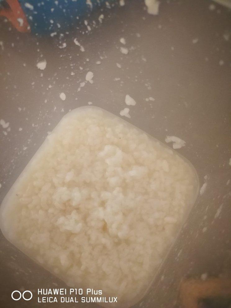 6分钟自制米酒【省事米酒最简易的打开方式】ヽ(•̀ω•́ )ゝ自制酒糟.醪糟.酒酿