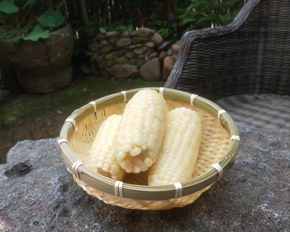 我一直梦想的田园的早餐