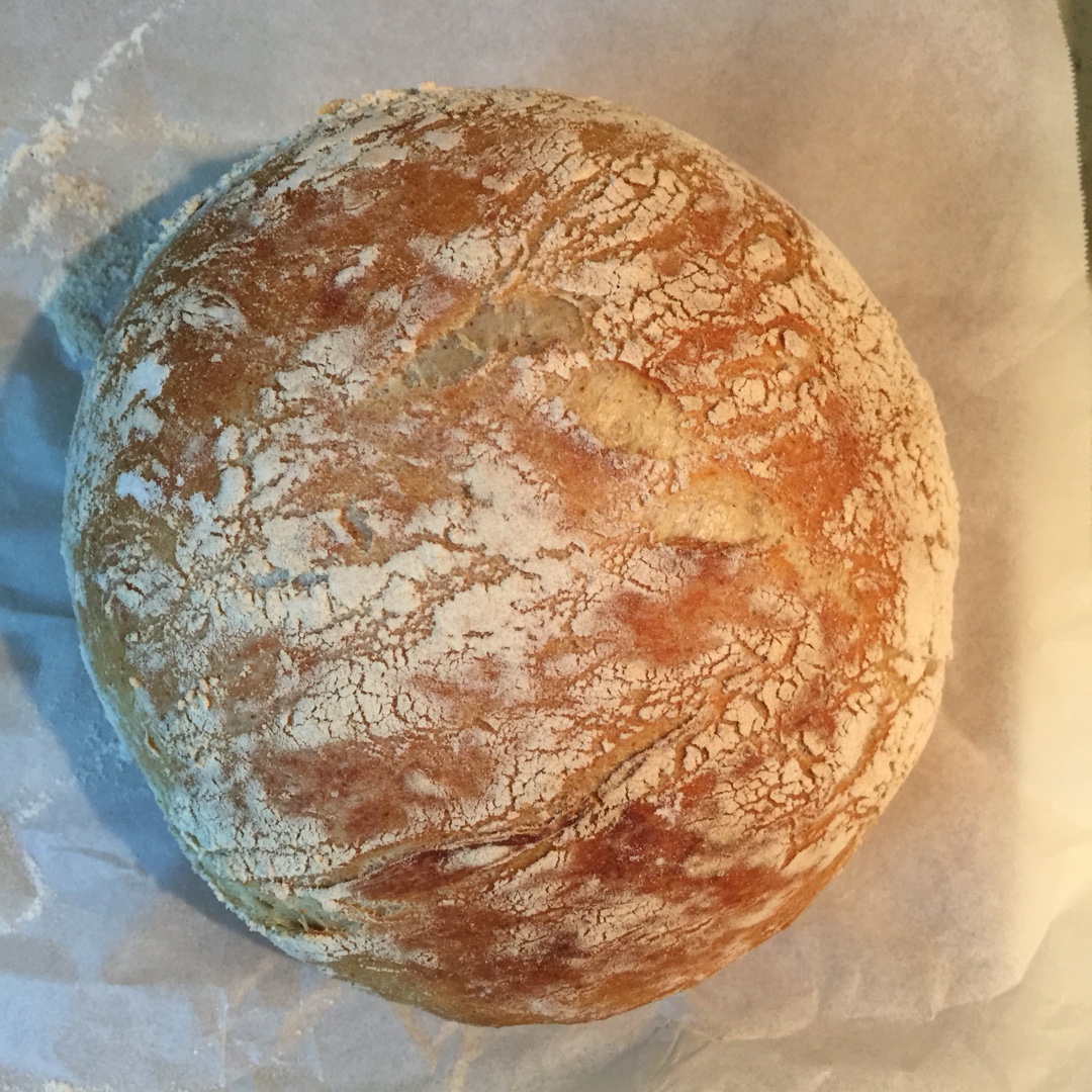 欧包/乡村面包-无油不用揉 No Knead Bread