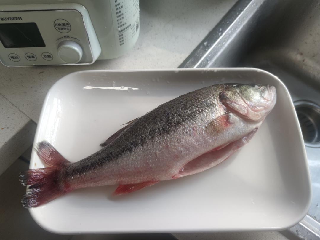 清蒸东星斑&罗氏虾-年年有余&哈哈大笑【北鼎年夜饭】