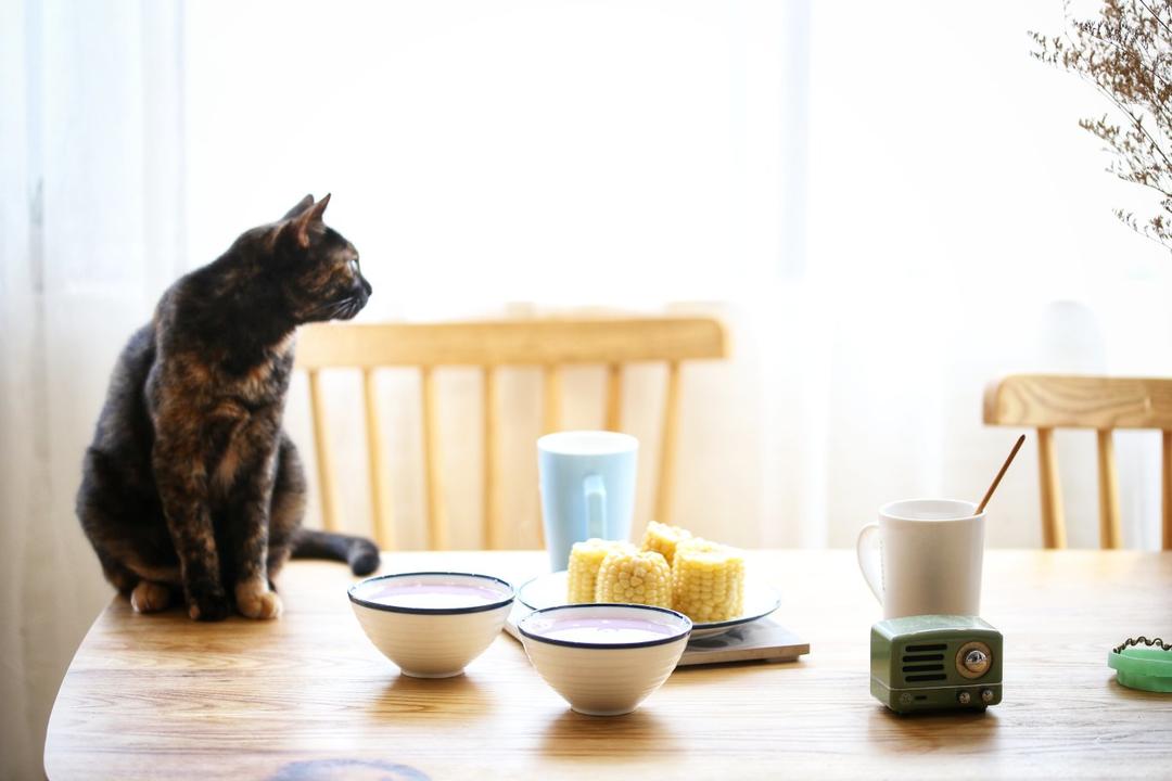 牛奶燕麦紫薯粥