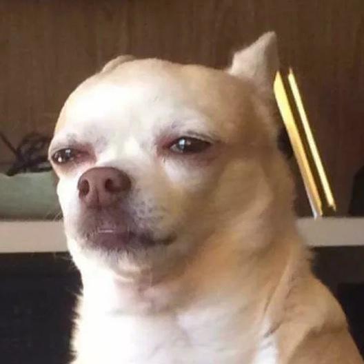 我要瘦啦啦啦啦啦