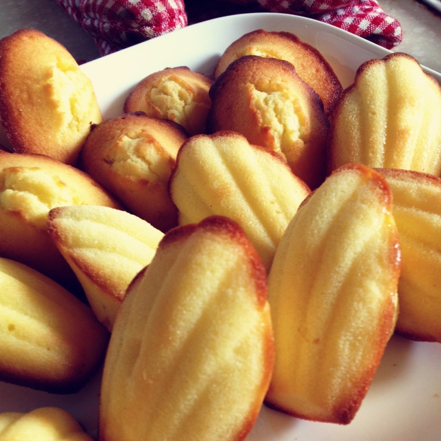 玛德琳（蓝带方）