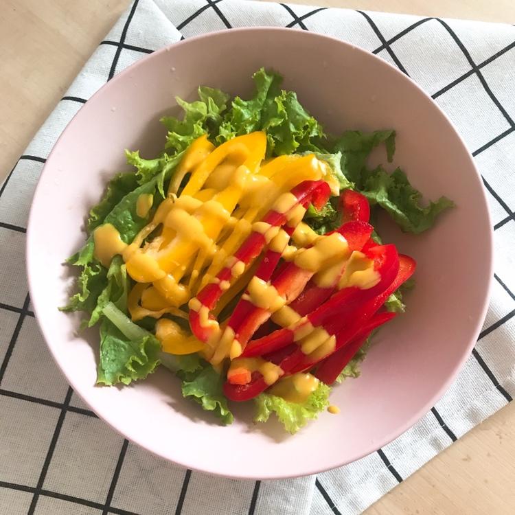 减肥蔬菜沙拉