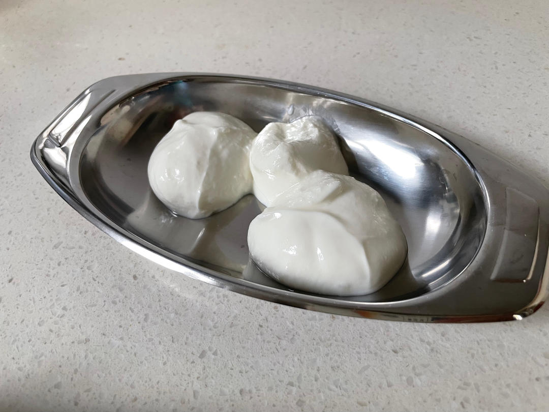 自制老酸奶