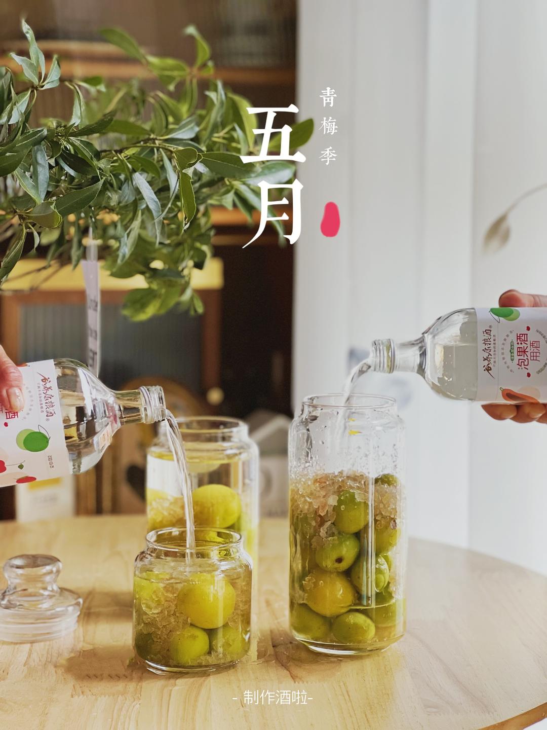 青梅季‼️我要把零失败青梅酒分享给你们……的做法