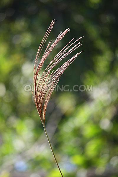 如果雲不知道_56mt