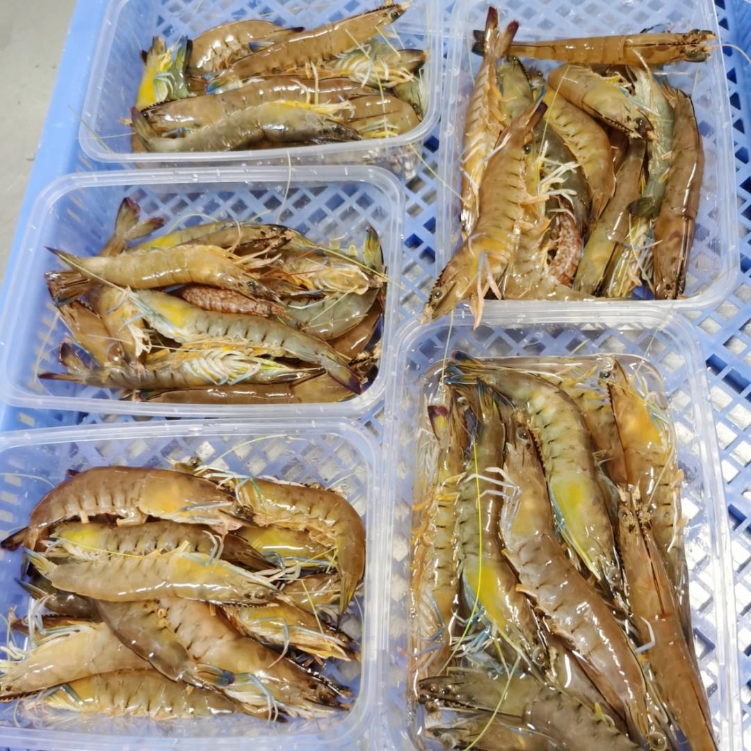 海姑美食