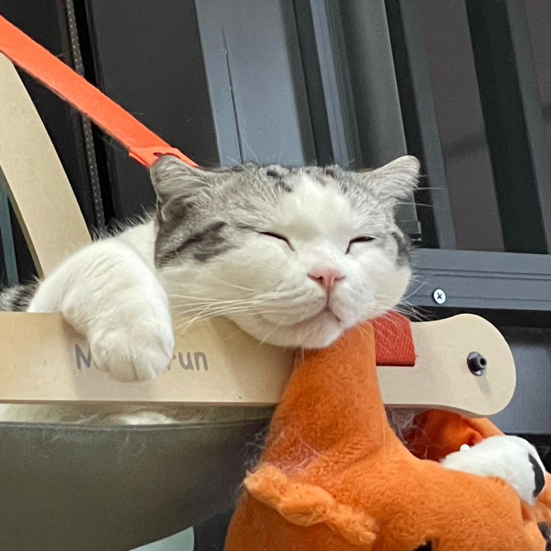 萝卜不白吃