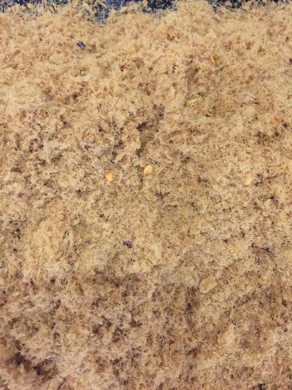 面包机做猪肉松