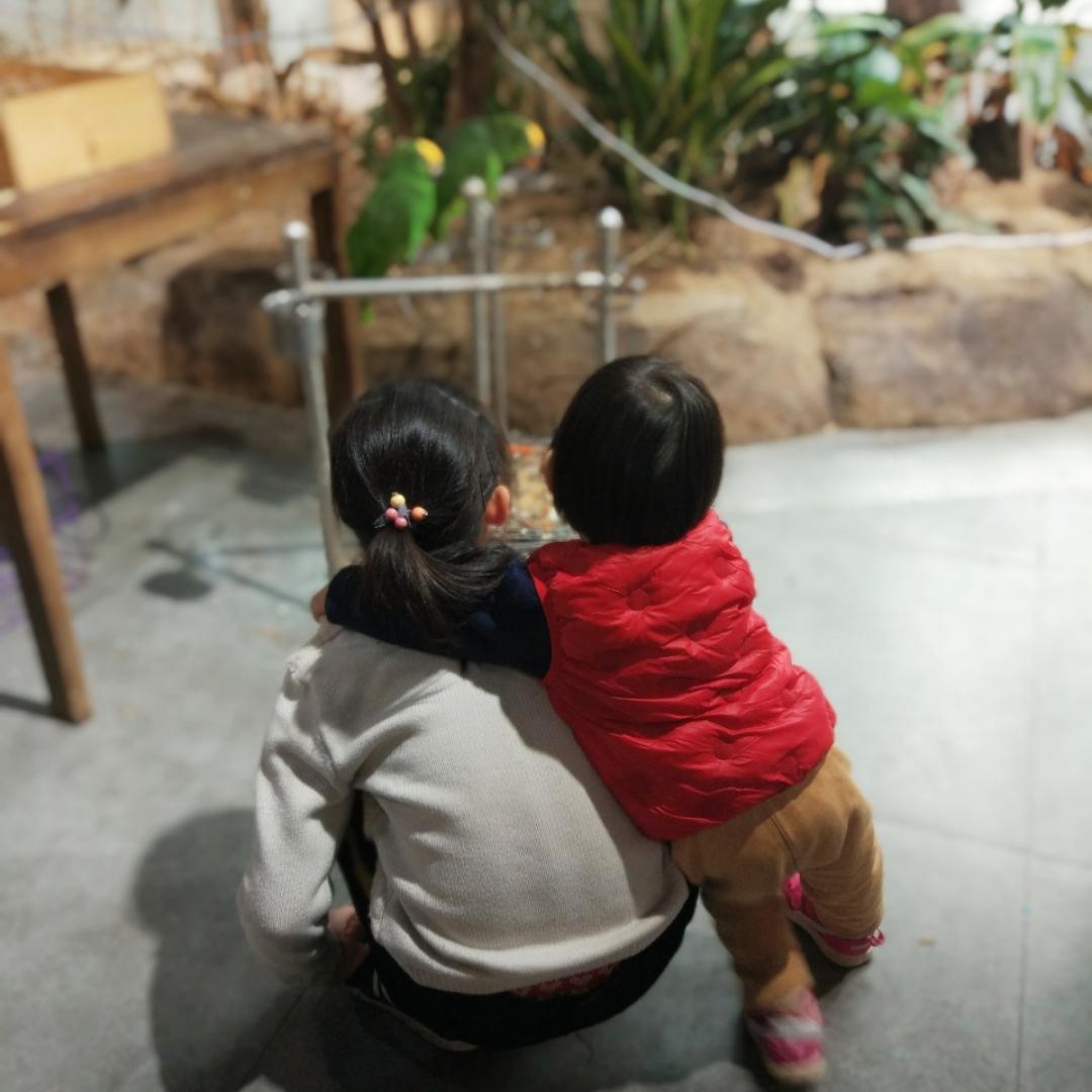 么么糖小小