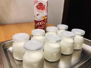 超简单自发无糖酸奶（烤箱版）的做法 步骤2