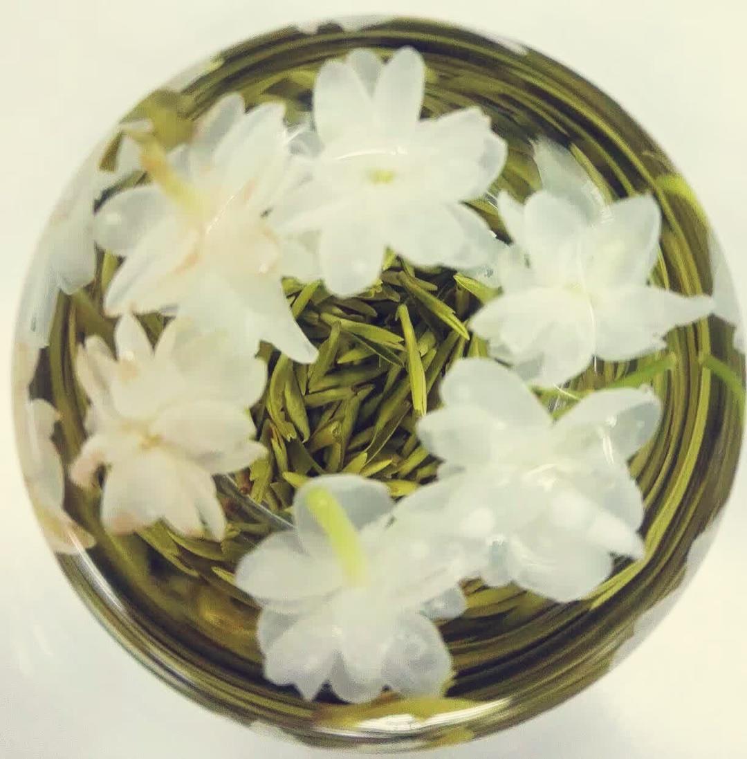 茉莉茶的做法
