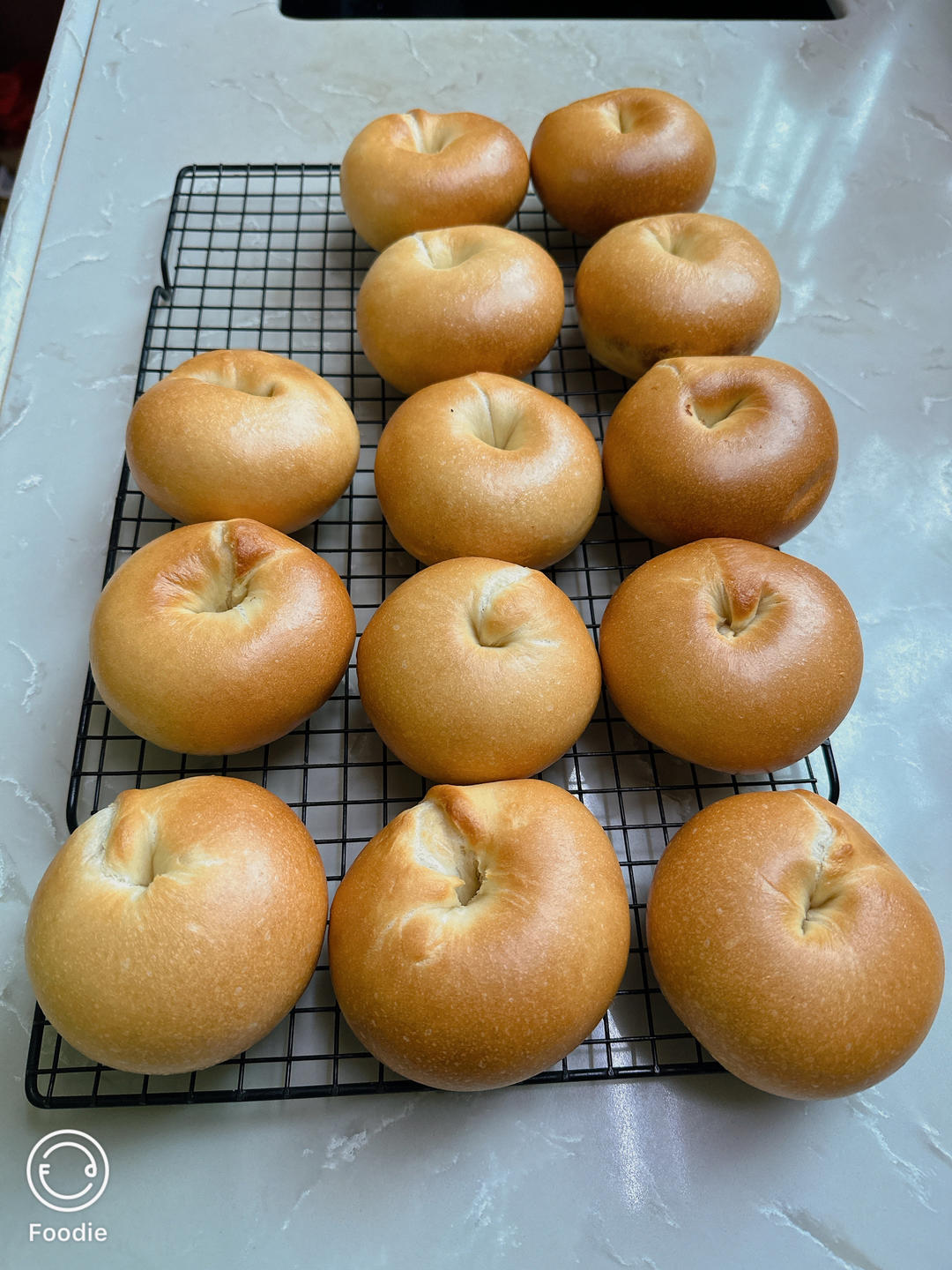 （波兰种）贝果