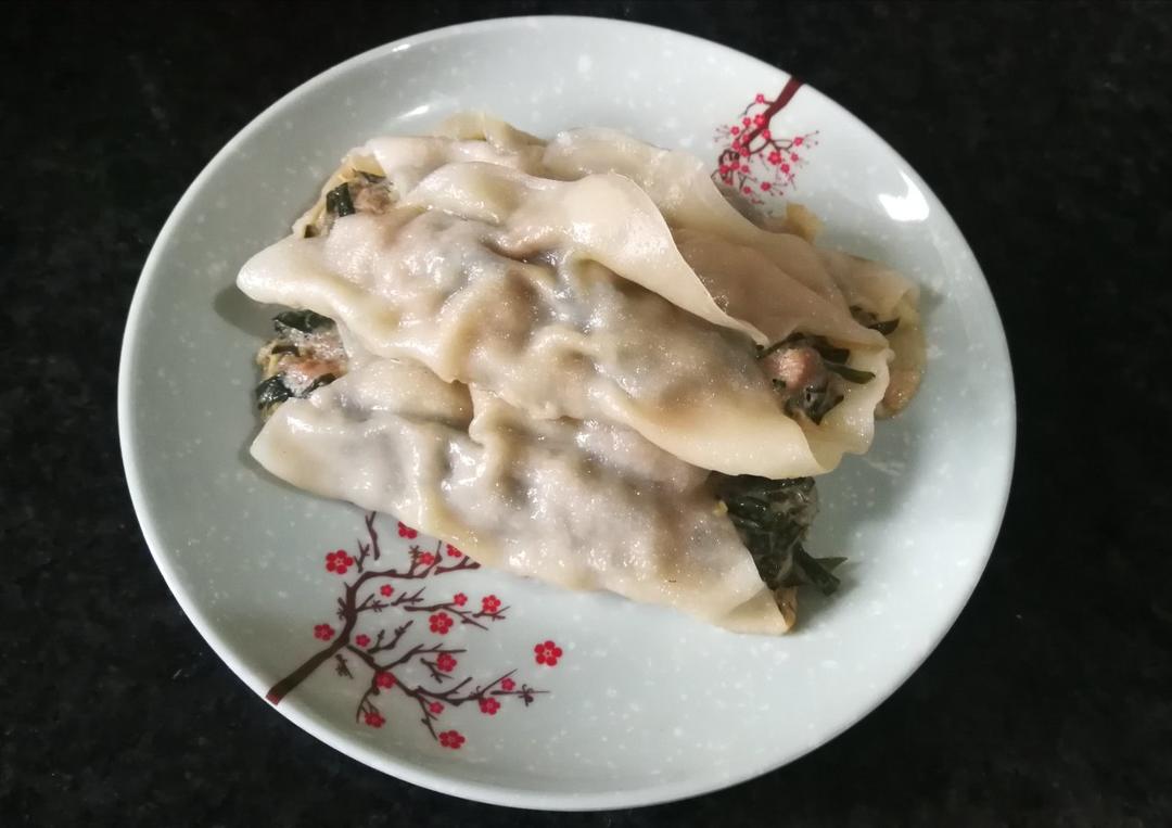 春食韭菜之【鲜肉锅贴】