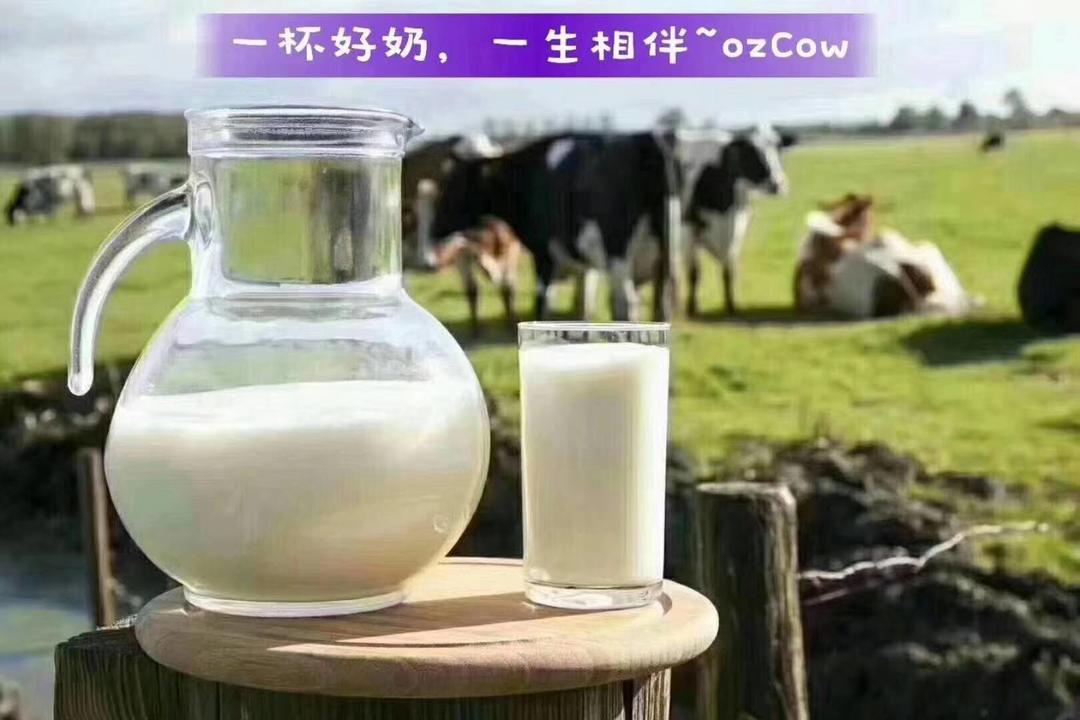 楠熙奶粉美食坊