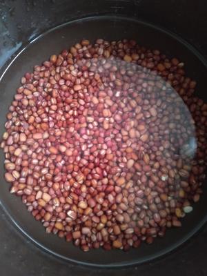 红蜜豆的做法 步骤2