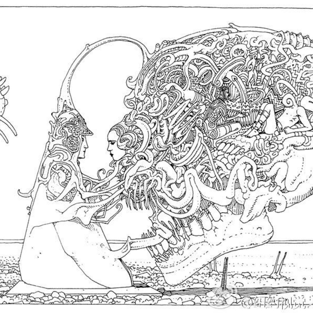 五兔子再也回不来