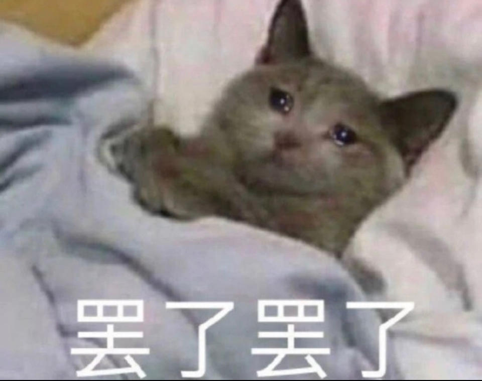 学习做饭的ray