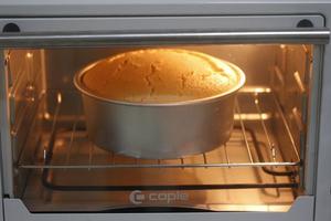 怎么做蛋糕（用烤箱做戚风蛋糕）的做法 步骤11