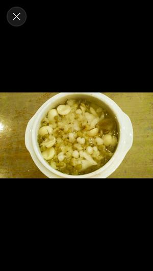 广东炖盅炖汤3(百莲薏米绿豆煲瘦肉)的做法 步骤6