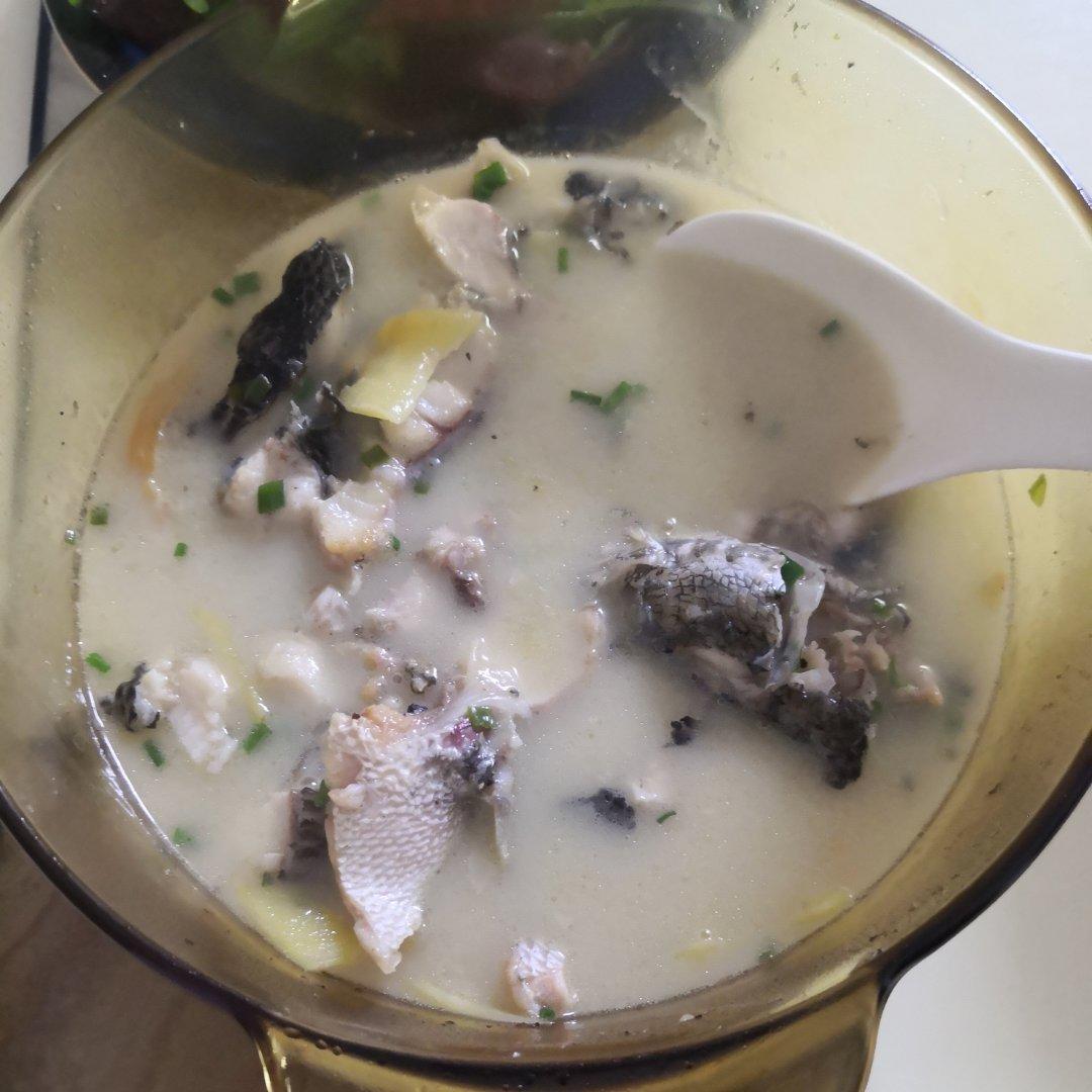 黑鱼汤