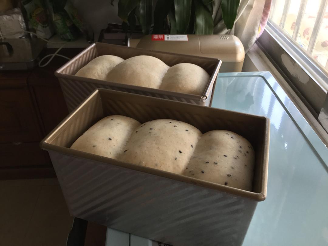 椰蓉吐司面包 Coconut Loaf