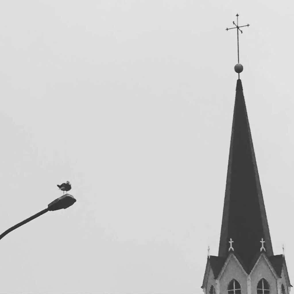 吃胶卷的大牙酱