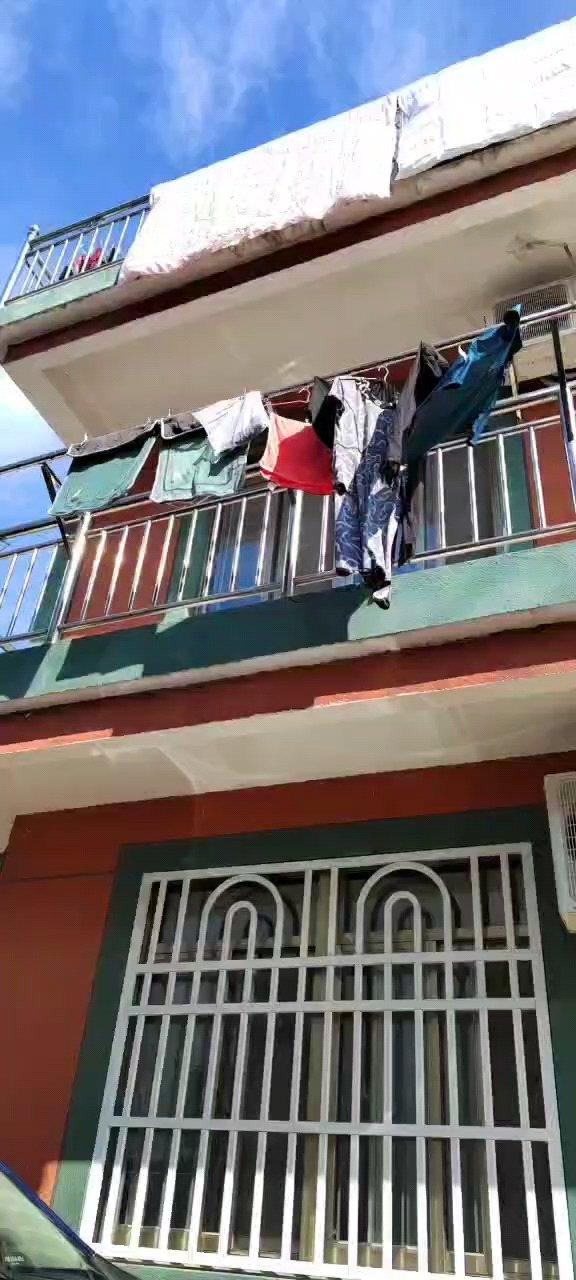 包子饺子万能基底肉馅