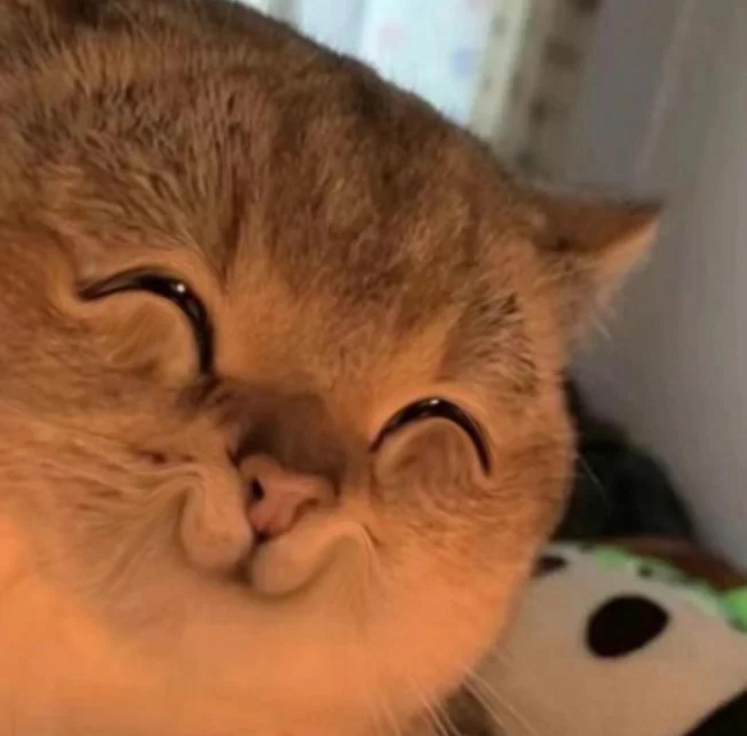 24 可爱小猫咪造型的美食集锦猫头猫爪猫咪背影招财猫月饼模具