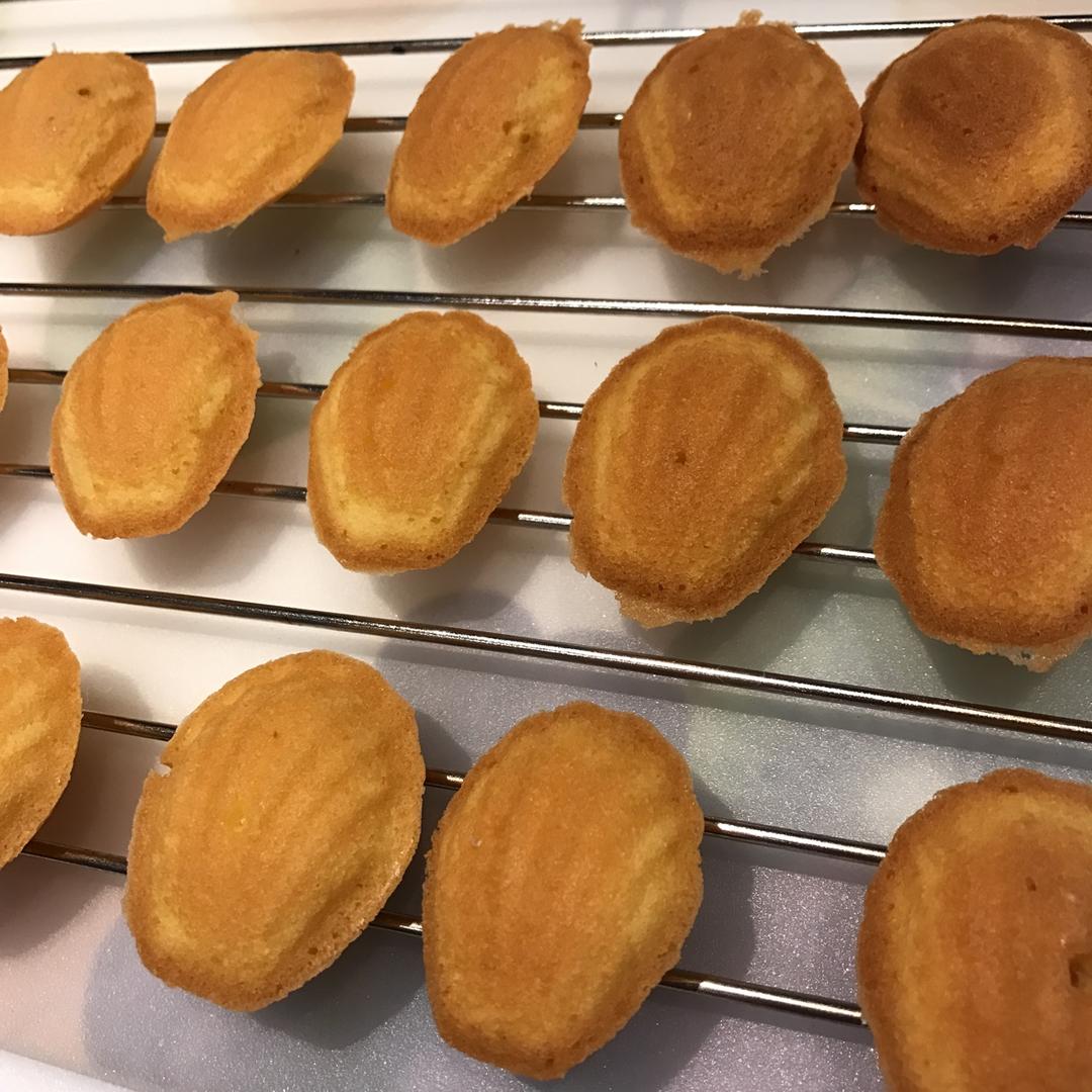 法国总统烘焙学院－奶香蜂蜜玛德琳