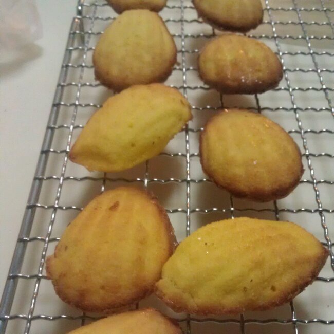 抹茶玛德琳蛋糕