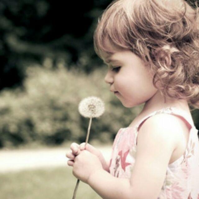 高高 