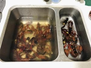 香辣油焖小龙虾🦞的做法 步骤1