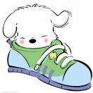 周beibei
