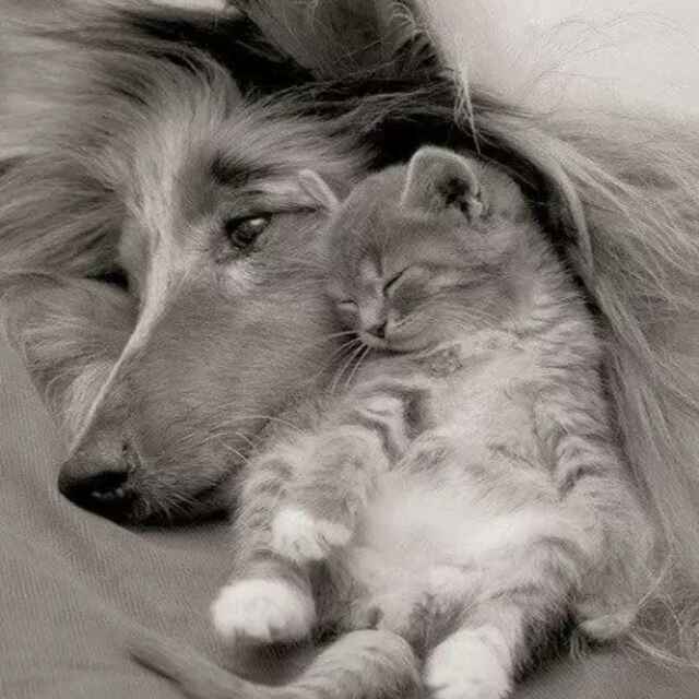 好吃的都想试试