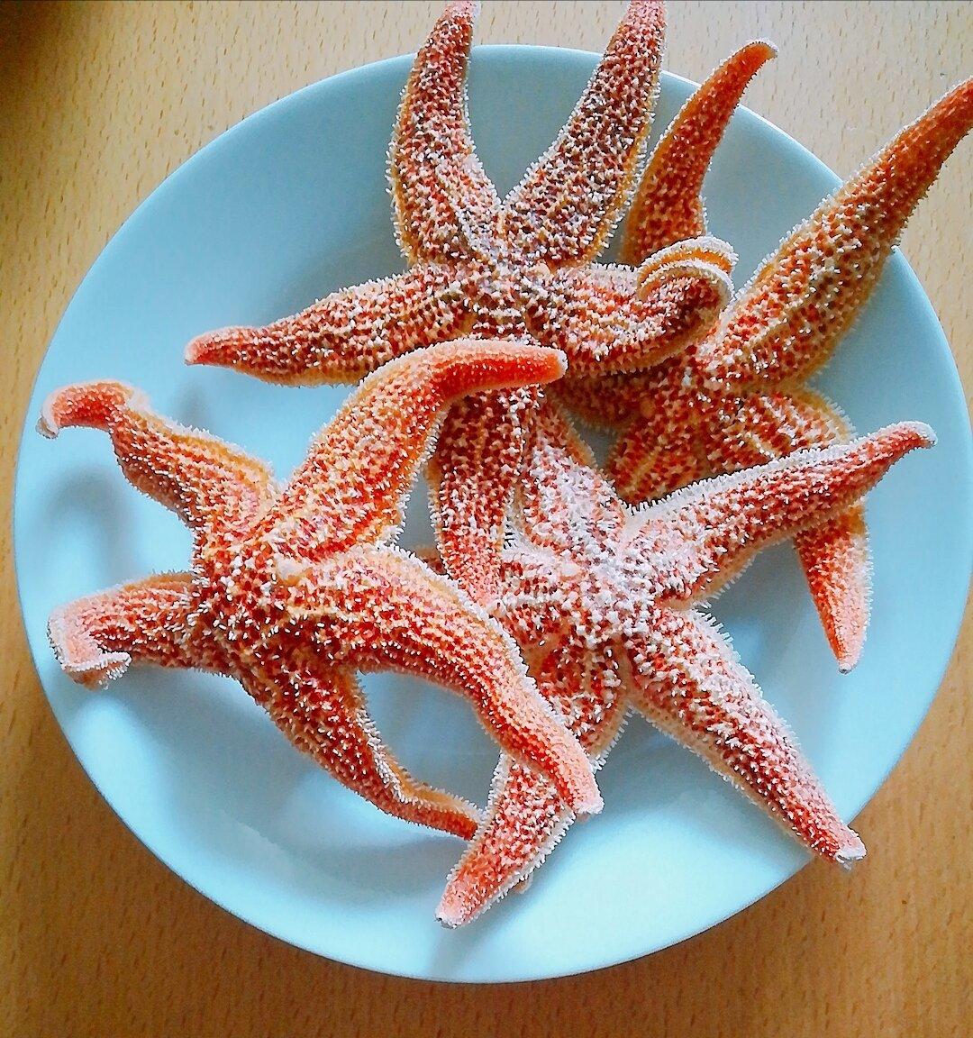 清蒸红海星