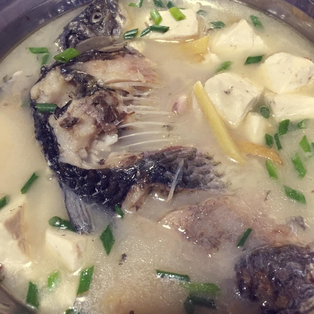 奶白鲫鱼汤