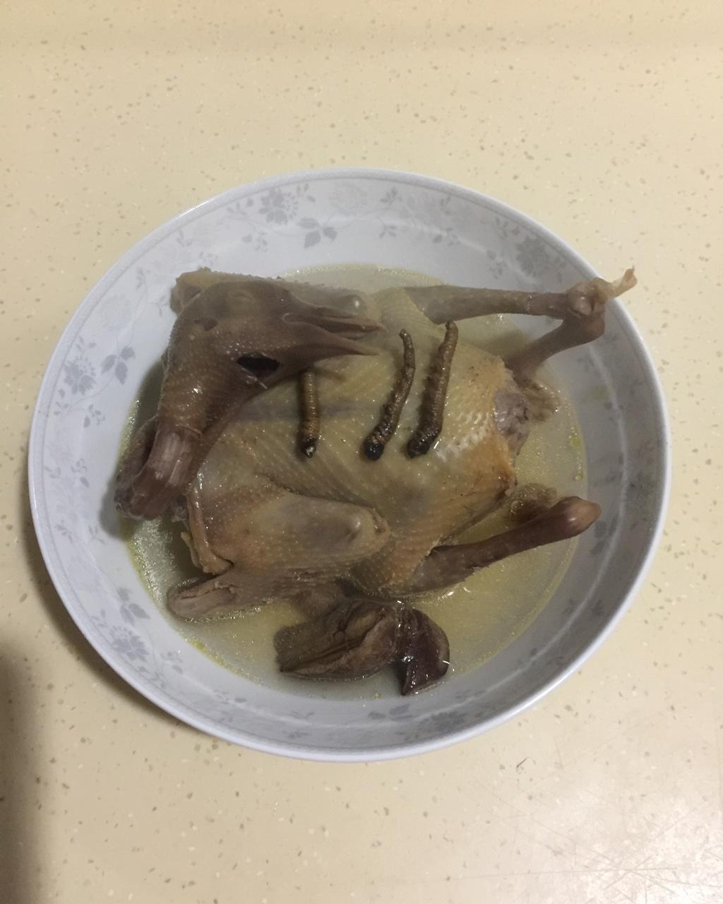 虫草枸杞鸽子汤