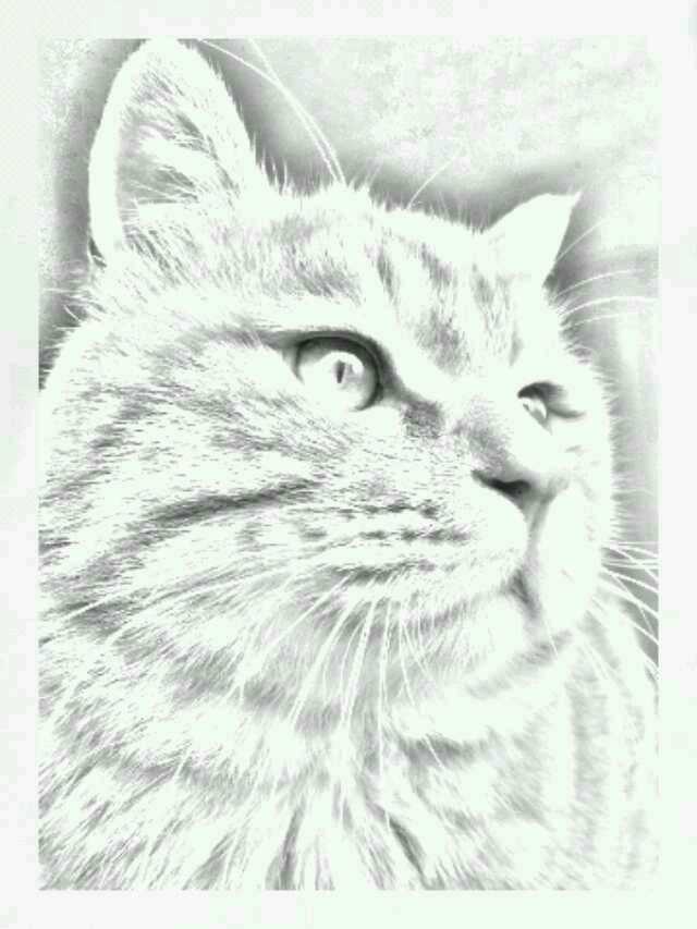 学烧菜的七七妈