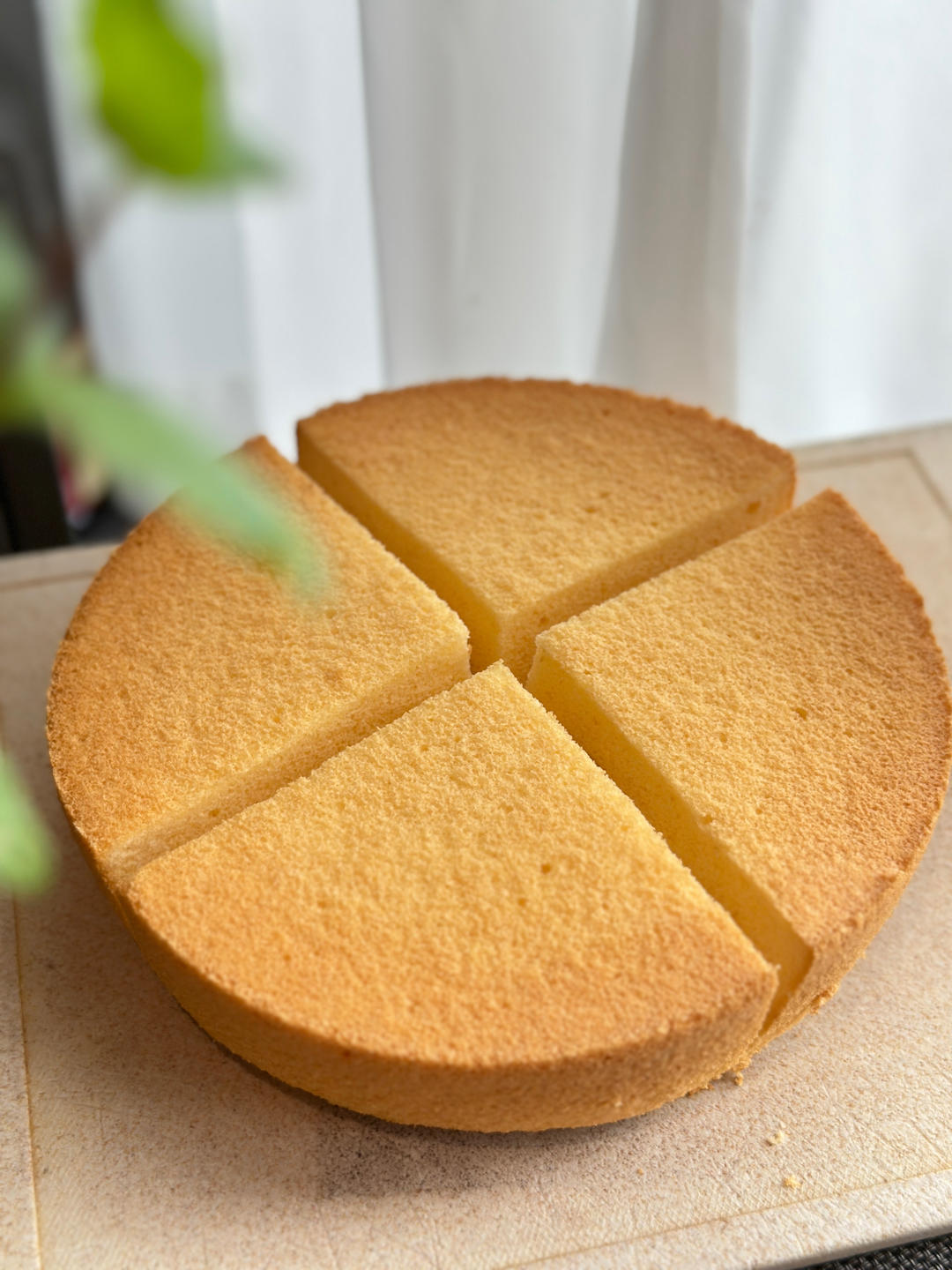 黑森林蛋糕🎂（8寸）