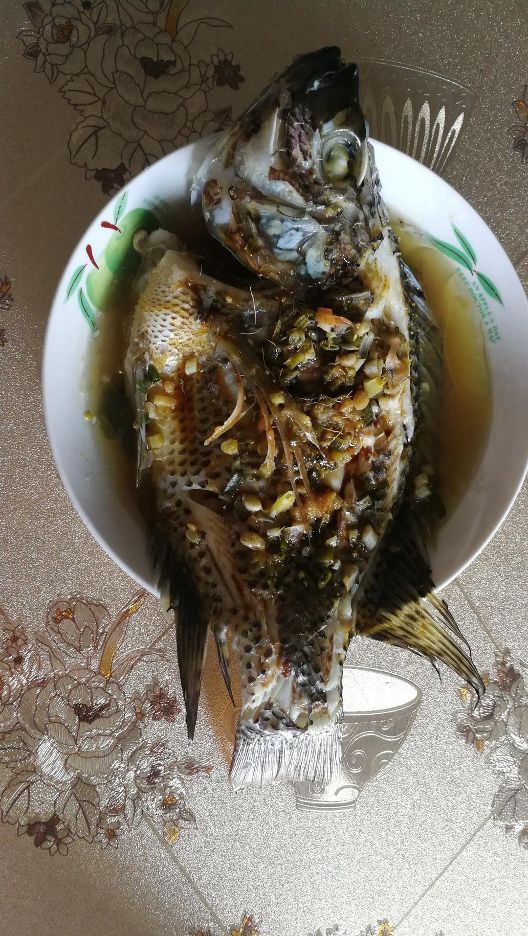 清蒸罗非鱼