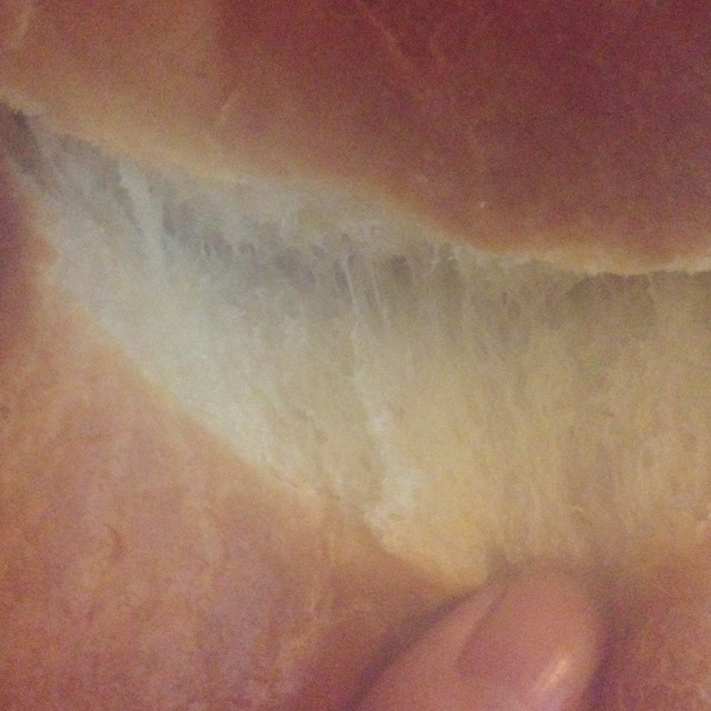 高水份超柔软北海道吐司（手工揉面版）