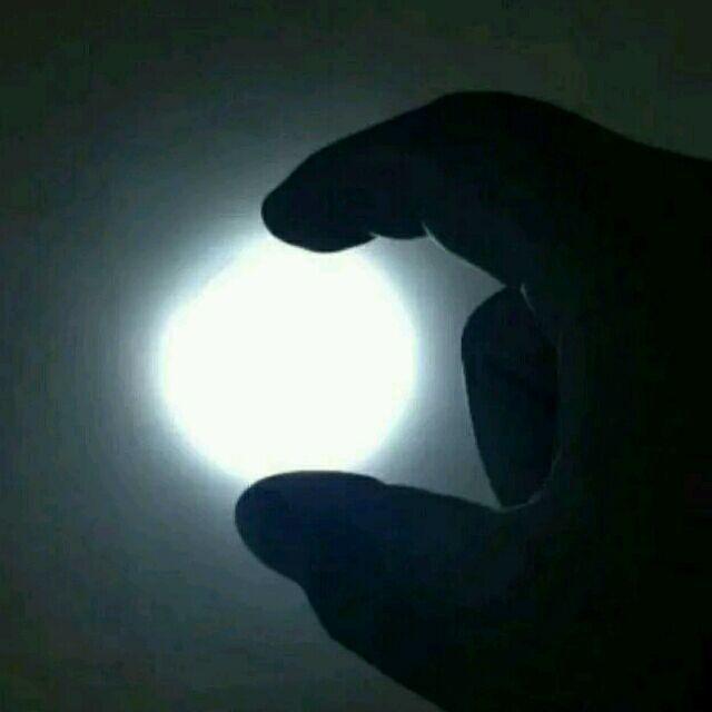 鸡爪鸭头