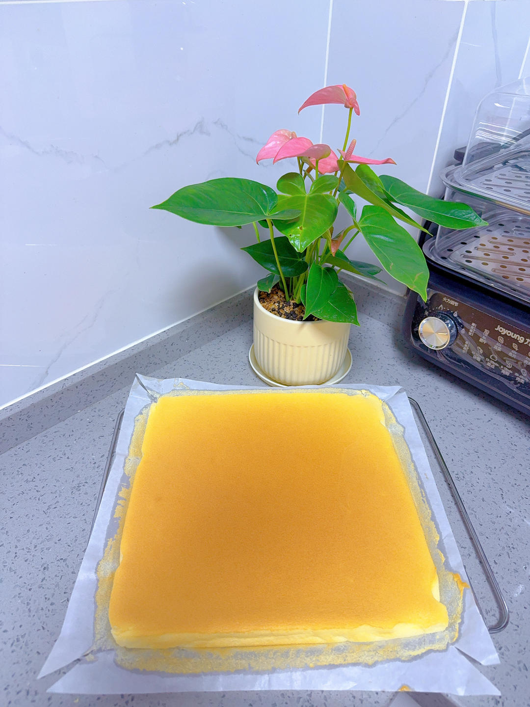 超详细的瑞士卷奶油蛋糕卷原味蛋糕卷的制作方法 饱满不掉皮不开裂（附模具换算方法）