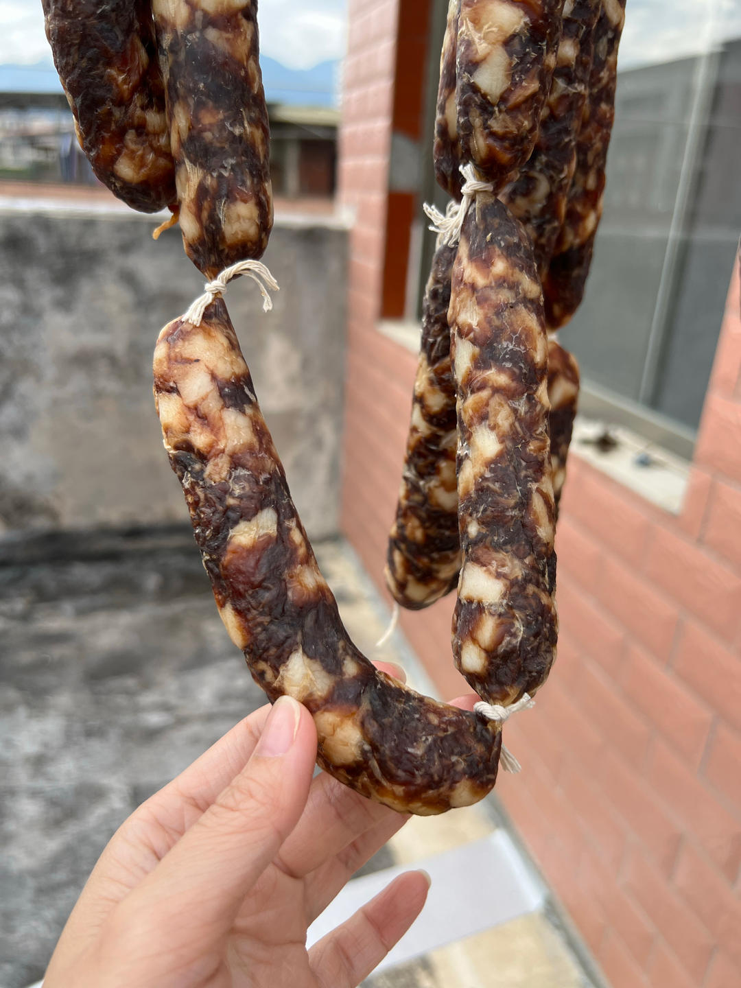自制广味腊肠