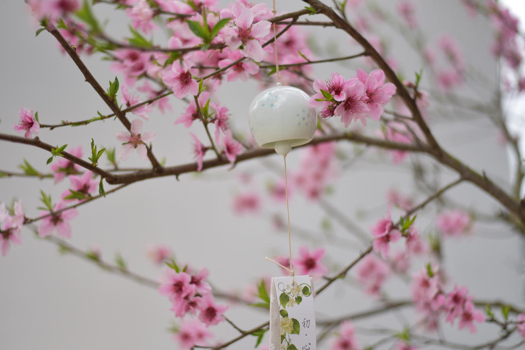 天才手or天残手