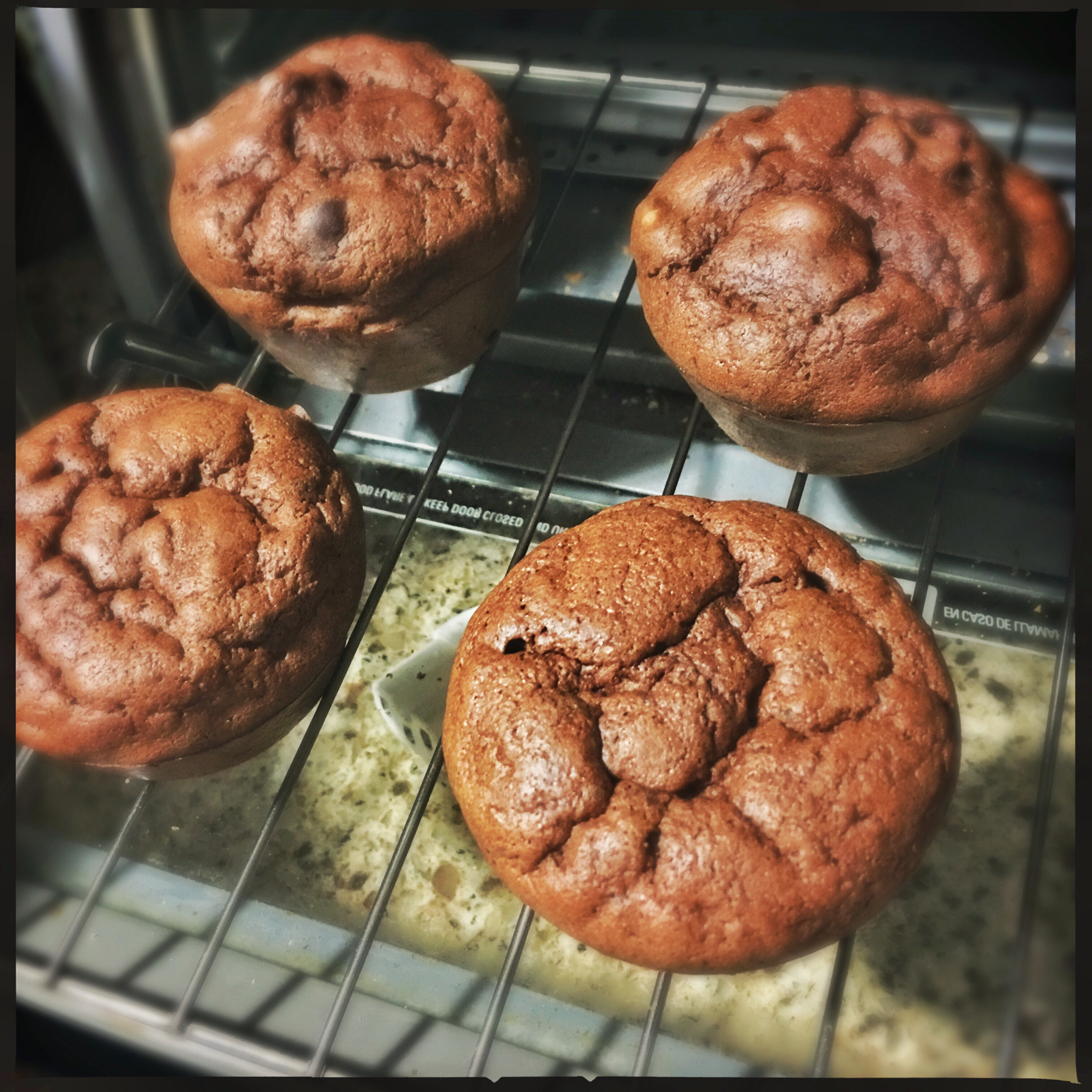 好吃不发胖系列-巧克力香蕉马芬。零巧克力低脂肪。