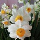 吃货的世界5592_usf4