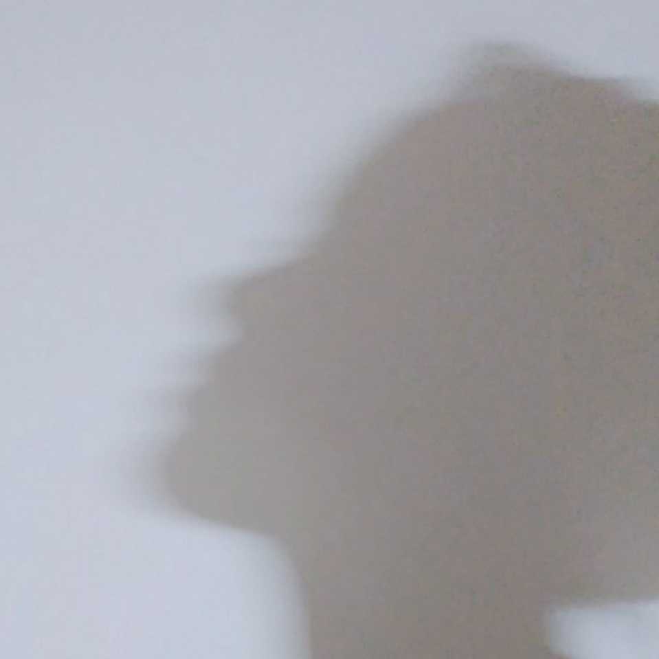 言一午月天儿
